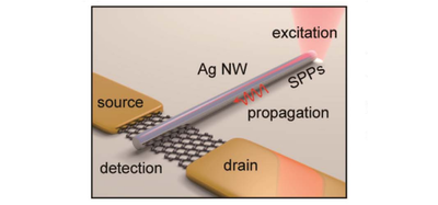 Graphical abstract — Long-range surface plasmon polariton detection with graphene photodetector