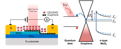 Graphical abstract — Quantum dot–coated graphene/MoS₂ barristor for high-responsivity infrared photodetection