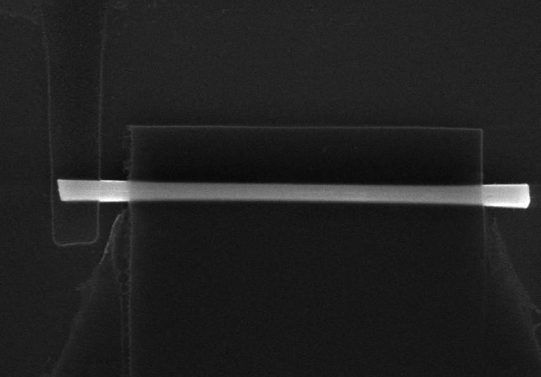 Single nanowire device with all-graphene contact