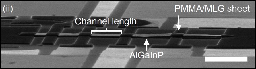 TLM device on AlGaInP
