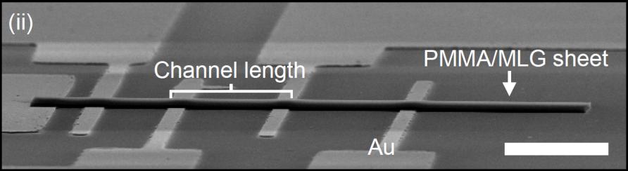 Transmission-line-method (TLM) device on Au — contact resistance