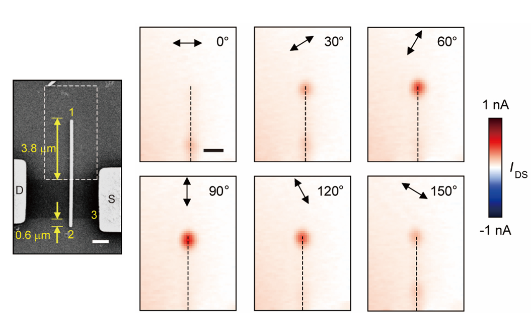 Graphene SPP detector with single Ag nanowire