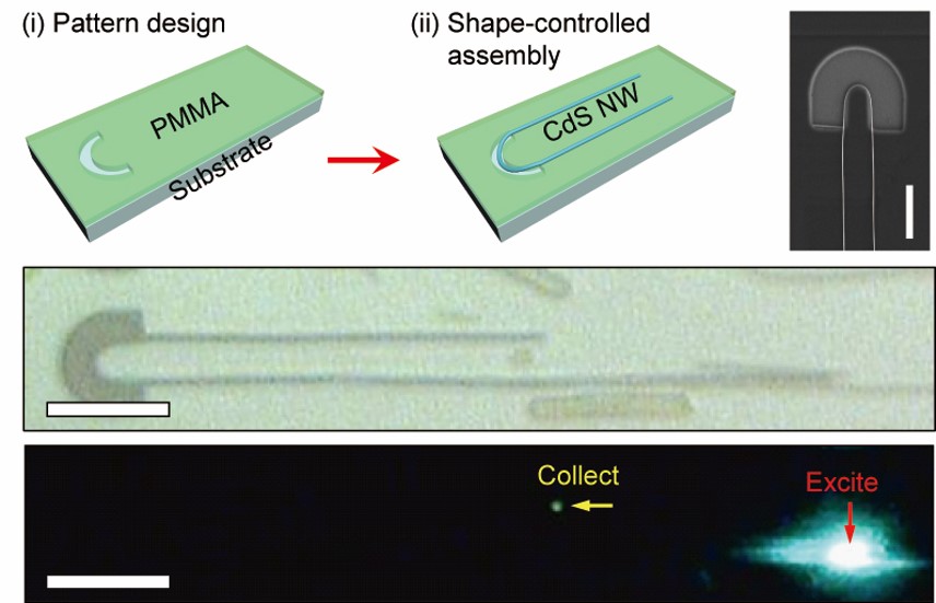 Deterministic assembly of a nanowire with active waveguiding