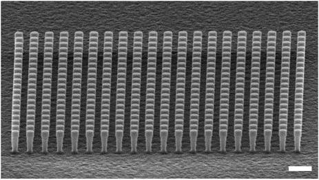 SEM of iron-nail shaped rod-type 2D photonic crystal