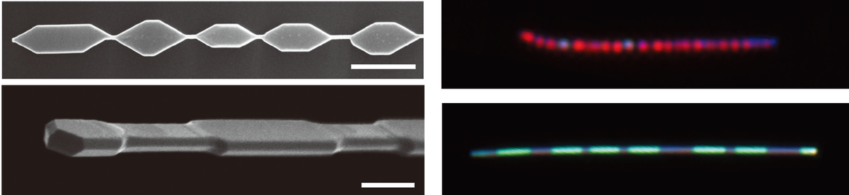 Diameter-modulated silicon nanowires and size-dependent light scattering