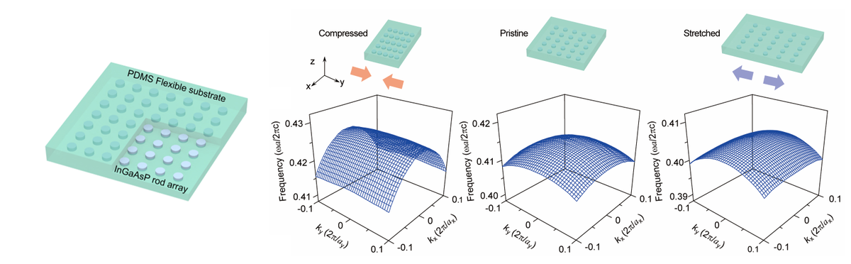 Strain-gauge sensitive nanodisk square lattice